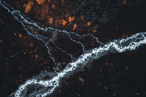 Free Overhead View of Rocky Creek in Forest Stock Photo