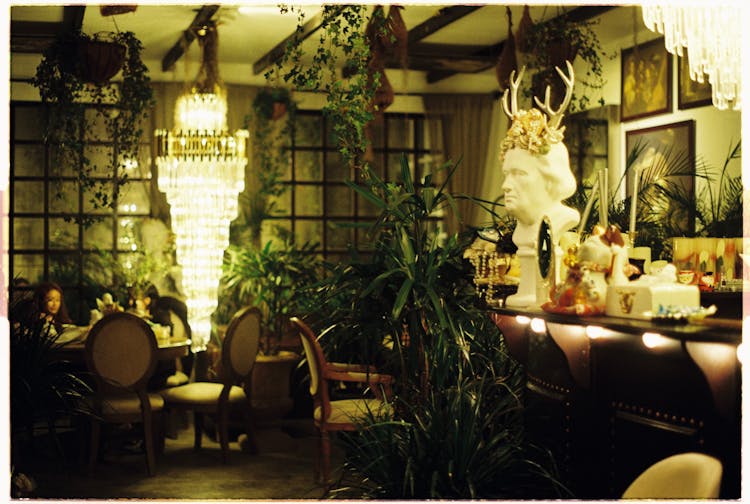 Chandelier And Seats In Restaurant