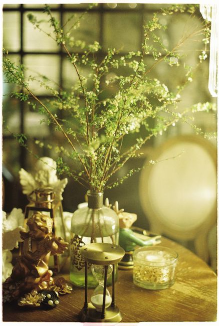 Cozy indoor setting with rustic home decor including plants, candles, and vintage elements.