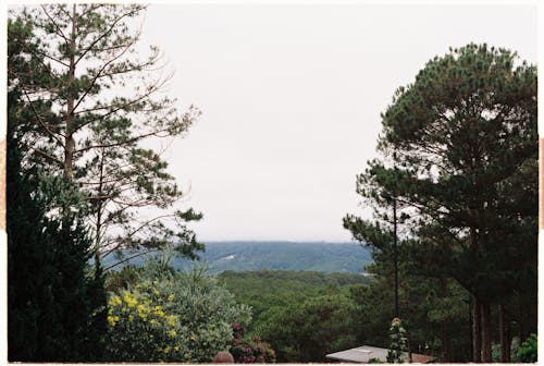 Gratis stockfoto met bomen, decor, landschap Stockfoto
