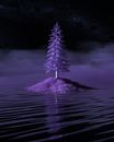 Lone Pine Tree Growing on Island Surrounded by Water