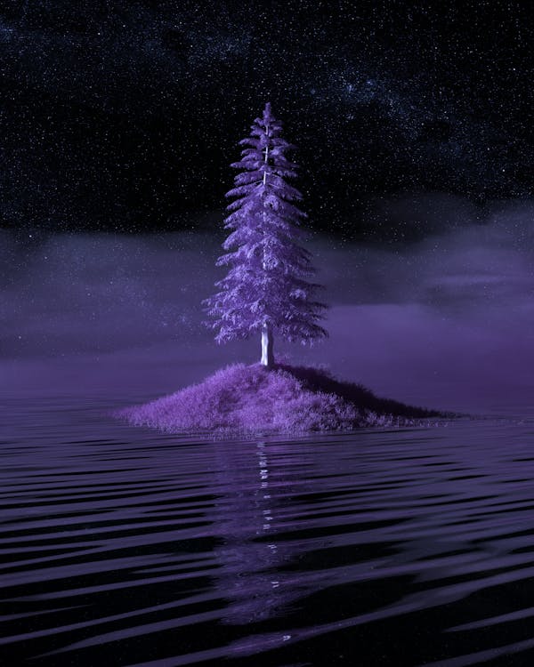 Immagine gratuita di 3d, acqua, albero