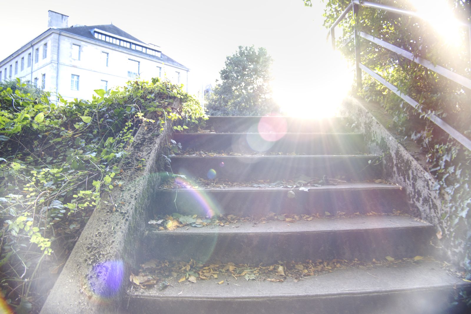 Vieil escalier en béton couvert de feuilles mortes, soleil éblouissant près d'un immeuble
