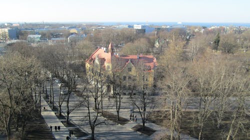 Fotobanka s bezplatnými fotkami na tému Tallinn