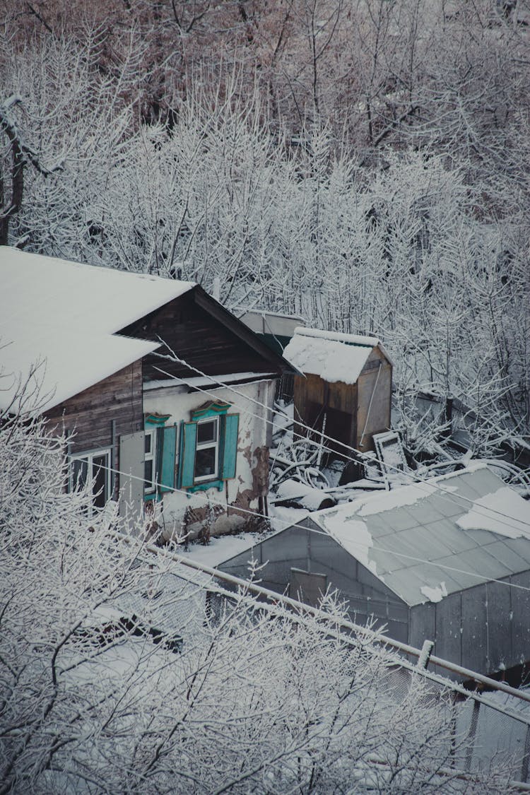 A House Covered In Snow Surrounded By Trees