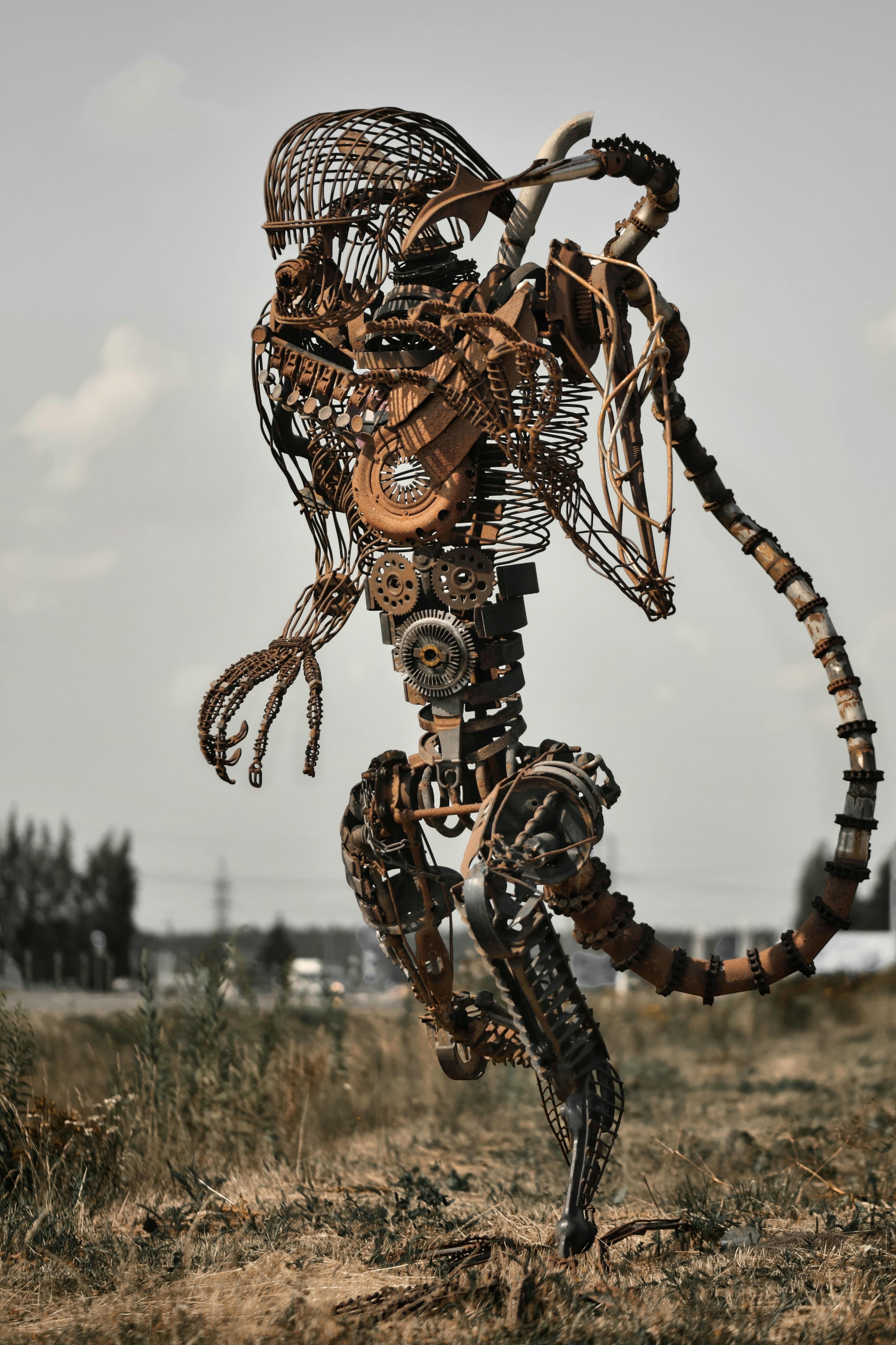 brown and black skeleton of robot