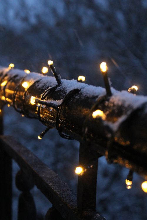 Free stock photo of christmas lights Stock Photo
