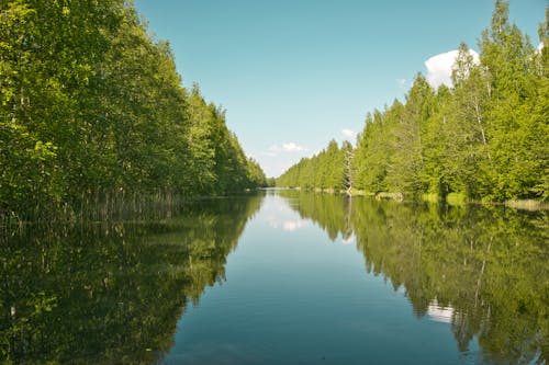 Kostenloses Stock Foto zu bäume, fluss, landschaft