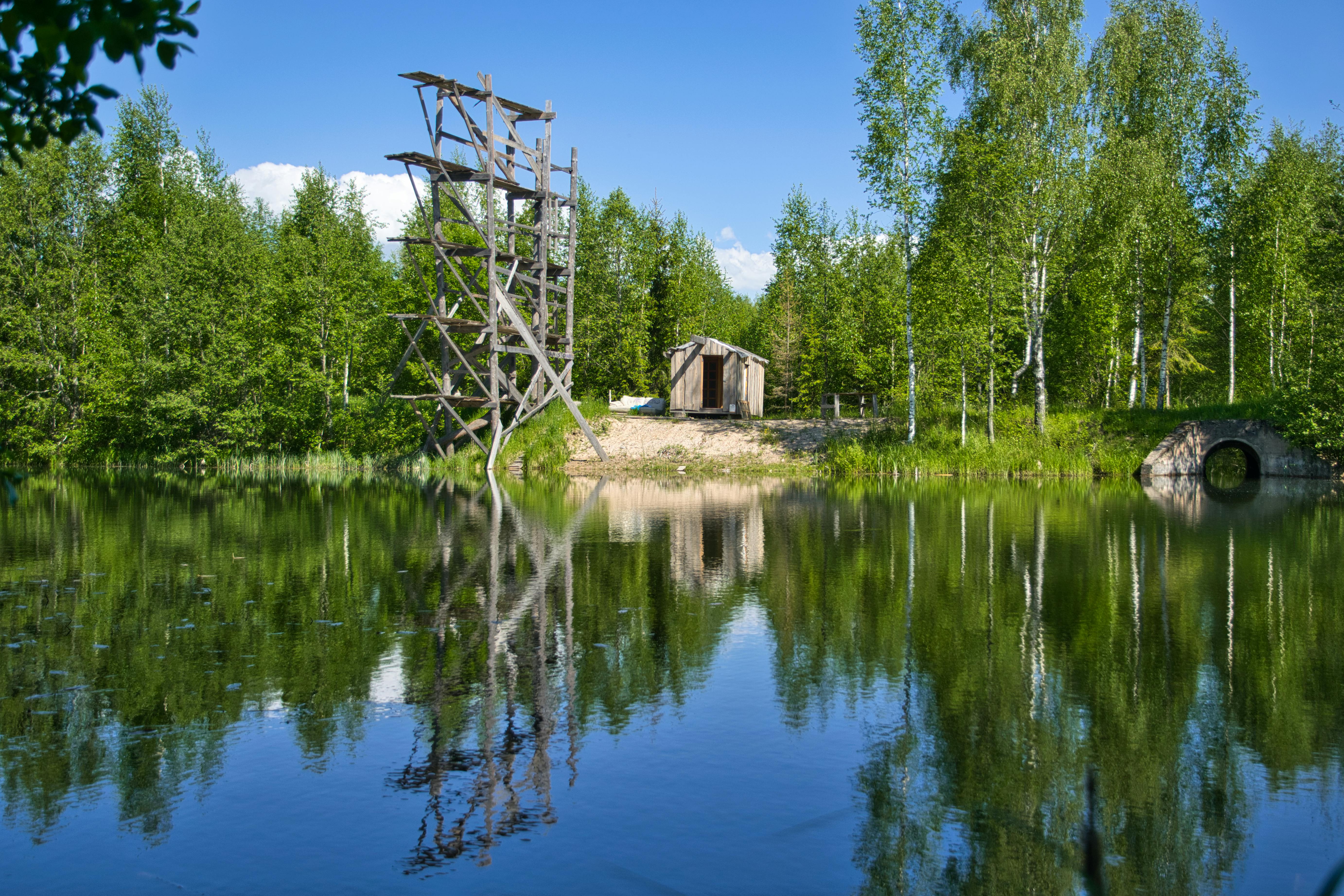 Smyrna’s Outdoor Adventure Center ignites learning and imagination — Photo by Estonian  Stalker on Pexels