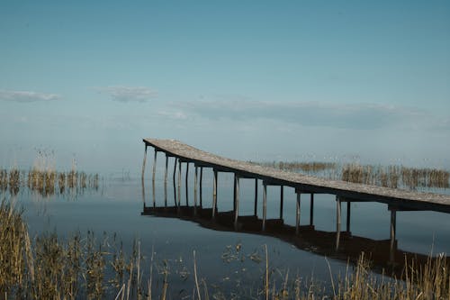 Безкоштовне стокове фото на тему «дерев'яні док, озеро, ставок»
