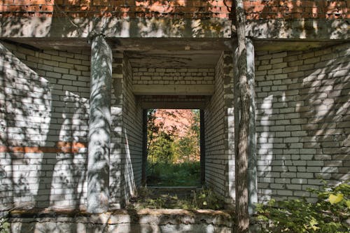 Безкоштовне стокове фото на тему «Будинки, вхід, входи»