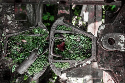 Fotos de stock gratuitas de entrenar, hierro, madre naturaleza