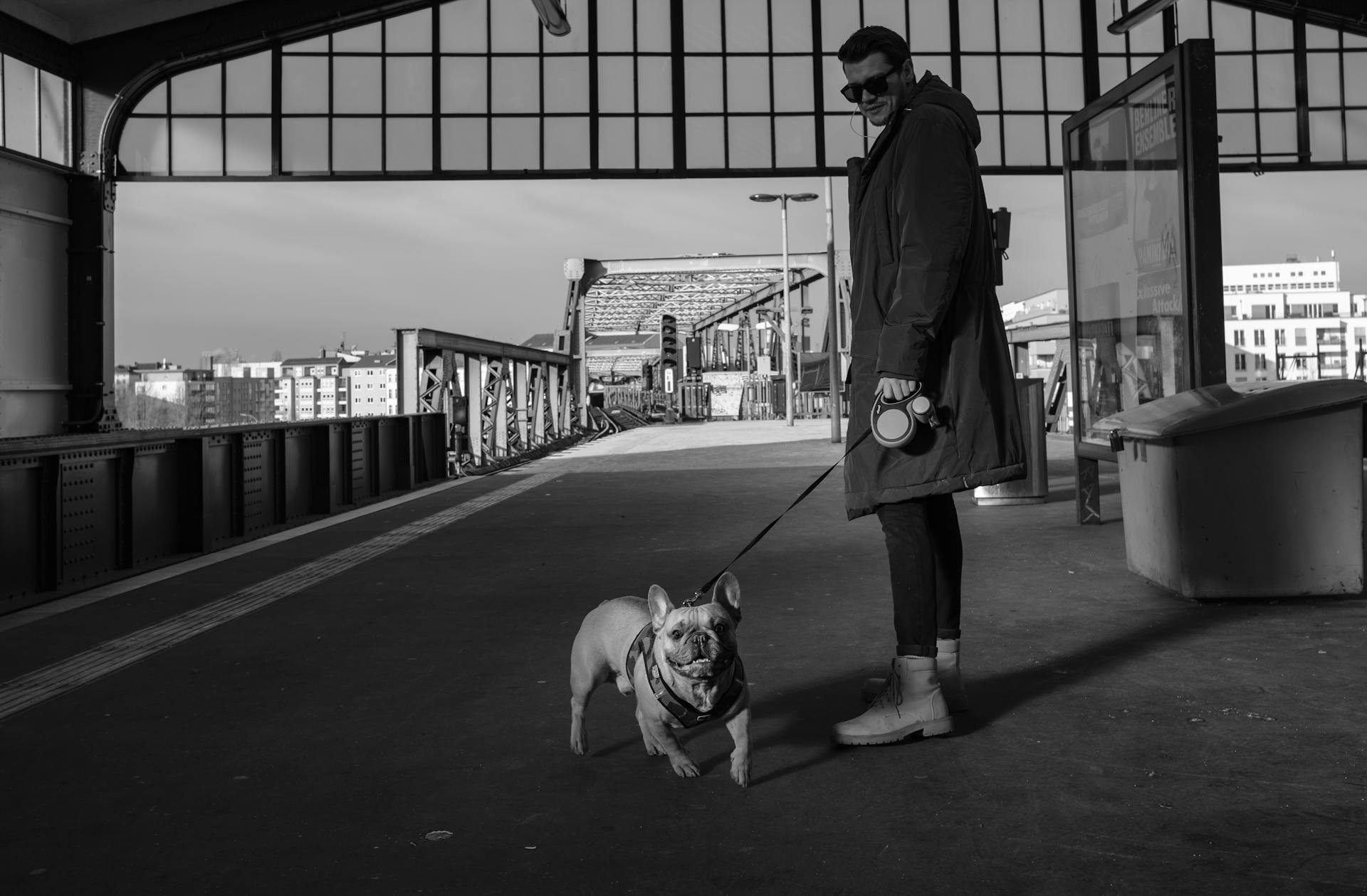 Un homme en manteau tient la laisse d' un bouledogue anglais .