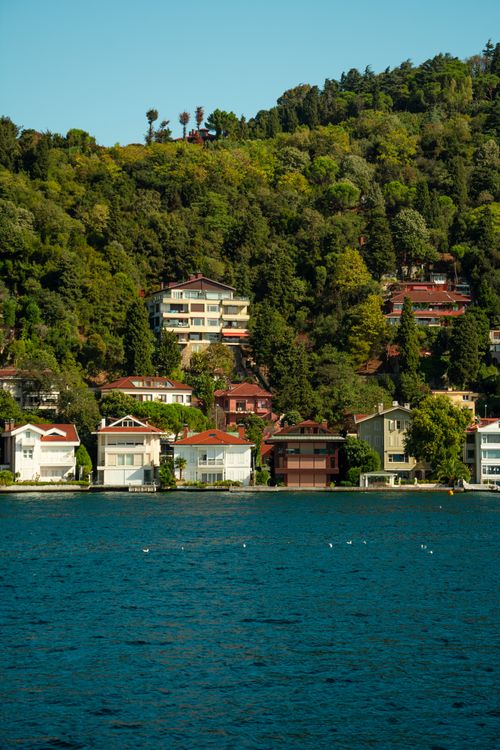 Free Picturesque houses nestled on a lush green hillside by a scenic blue sea under clear skies. Stock Photo