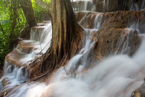 Foto d'estoc gratuïta de bosc, cascades, en cascada