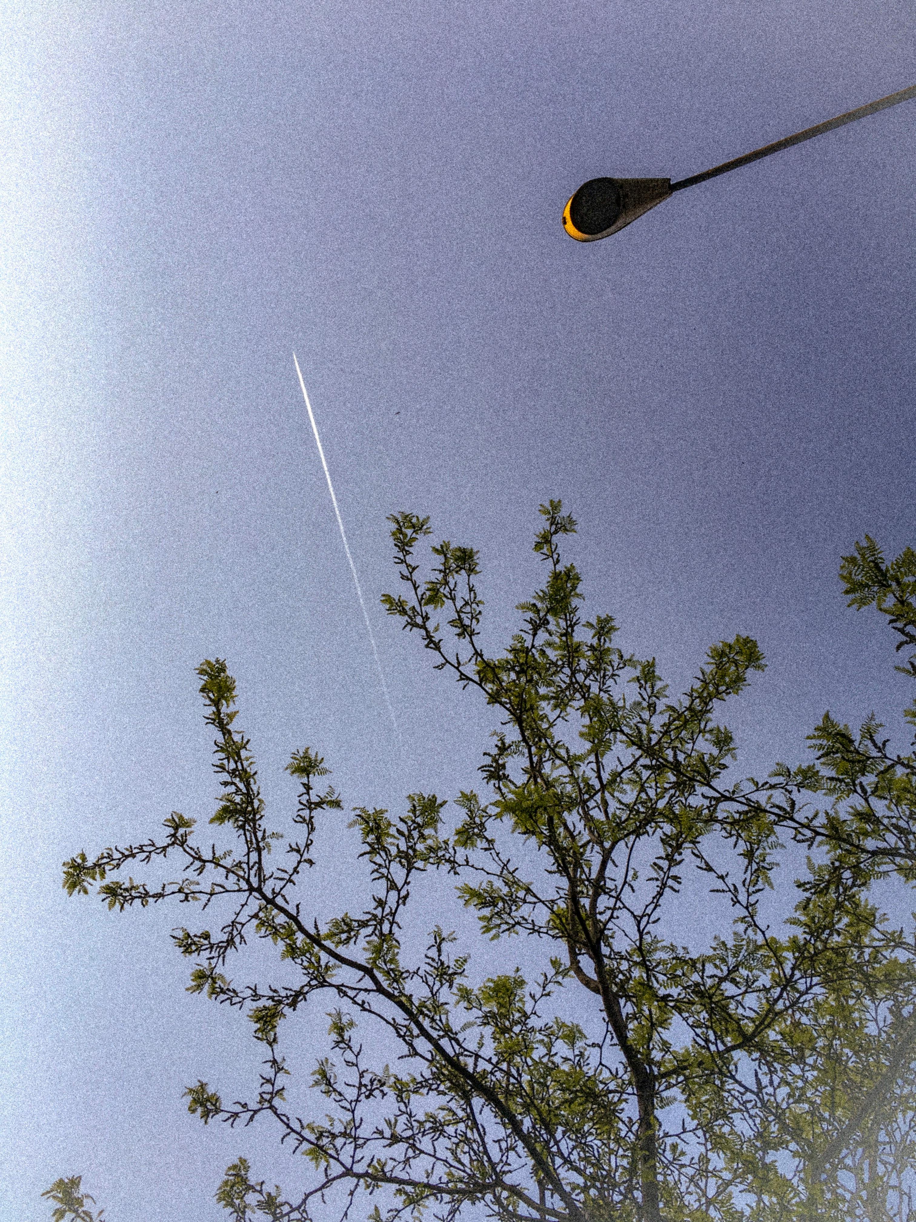 Free stock photo of #sky #airplane #nature #tree #film #, #sunset #sunrise #skyblue #vintage #city