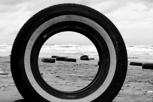 Photos gratuites de côte, échelle des gris, littoral