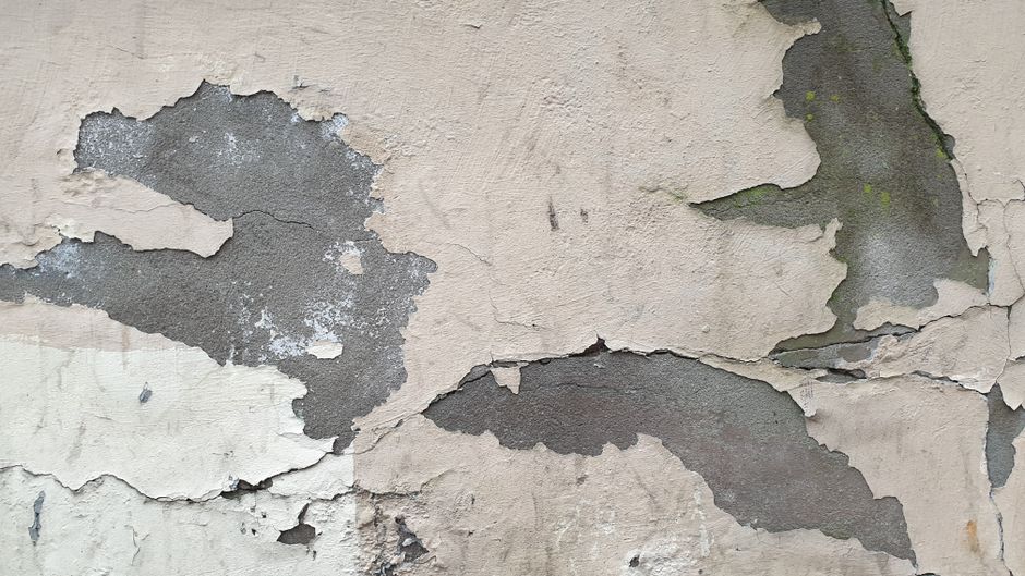 Water Damage Repair service in Los Angeles, California — water damage repair specialist on site