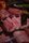 pork