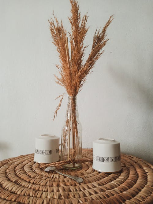 Dried Grass in a Vase