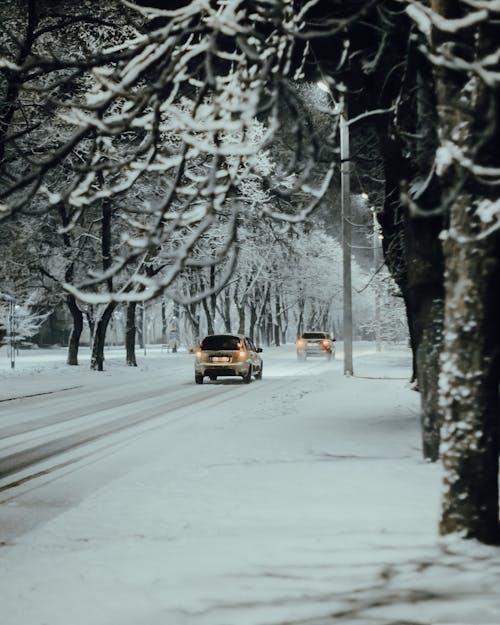 交通, 交通系統, 冬季 的 免费素材图片