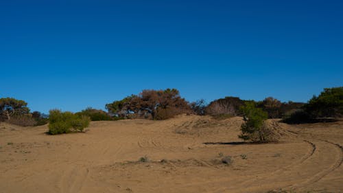 Foto d'estoc gratuïta de cel blau, cel clar, desert