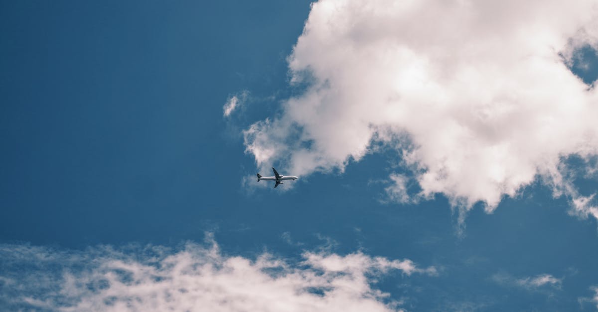 高雄直航菲律賓全新航線開通 探索星號提升城市國際能見度