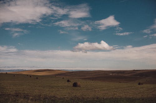 Imagine de stoc gratuită din baloți de paie, câmp de fân, fermă