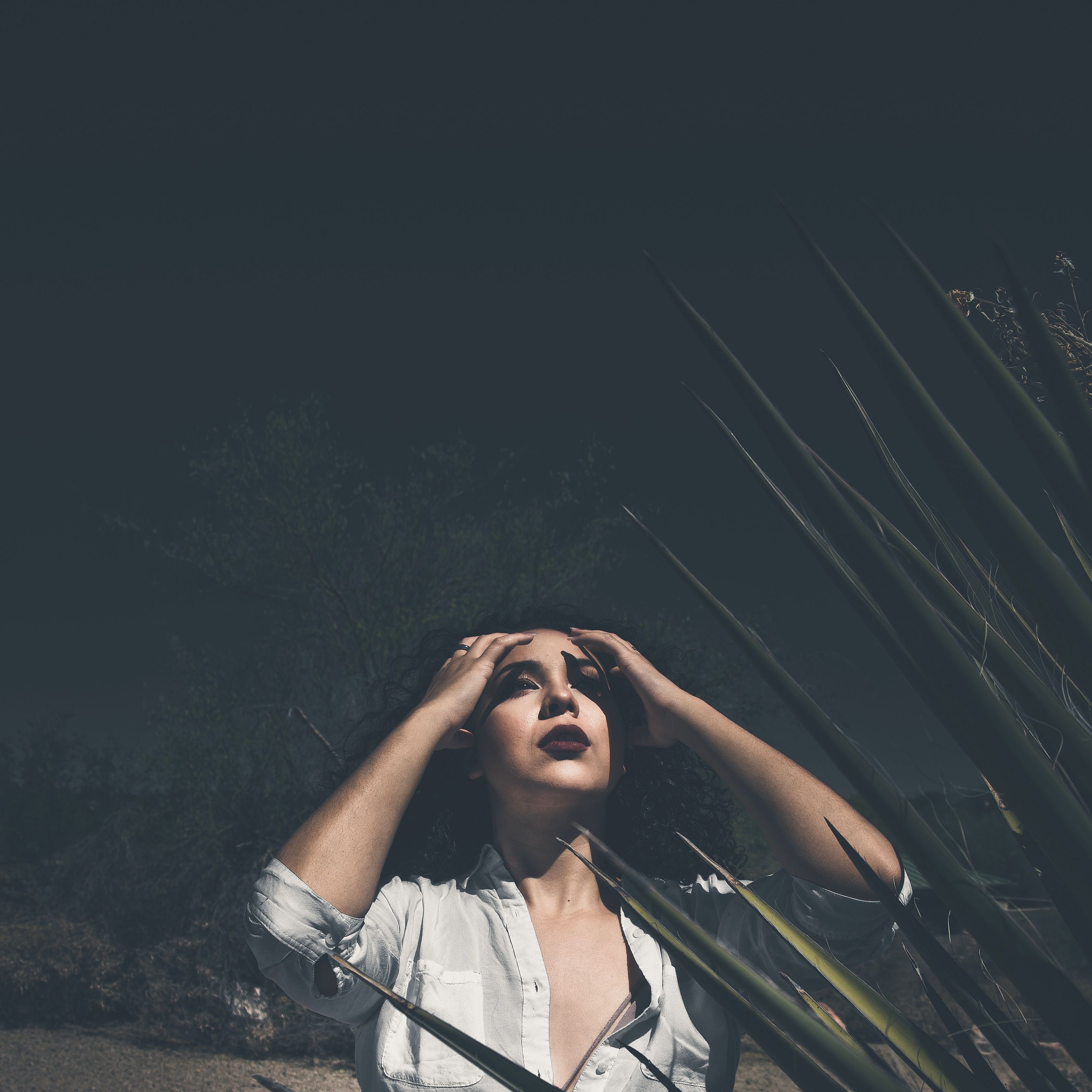 A Woman with Her Hands on Her Head · Free Stock Photo