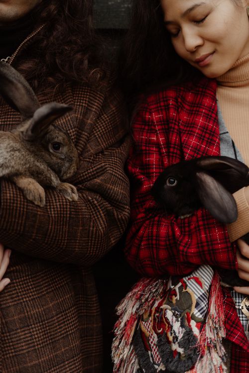 People Carrying a Black and Brown Rabbits · Free Stock Photo