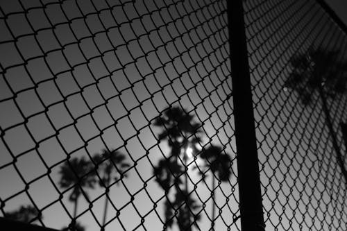 De franc Foto d'estoc gratuïta de blanc i negre, fons borrós, fotografia en escala de grisos Foto d'estoc