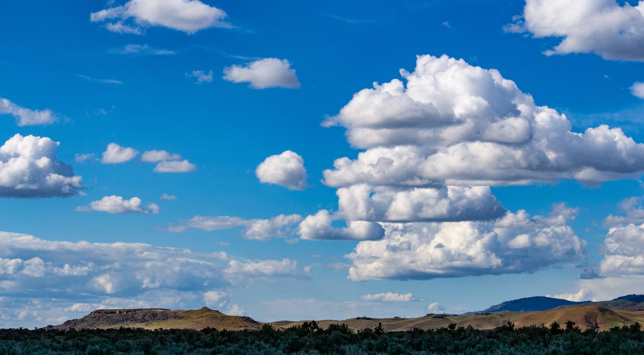 鯊魚驅逐器真的可靠嗎?加州情人角失蹤事件揭露市售裝置的科學真相與2026年海洋安全預測 鯊魚驅逐器真的可靠嗎?加州情人角失蹤事件揭露市售裝置的科學真相與2026年海洋安全預測