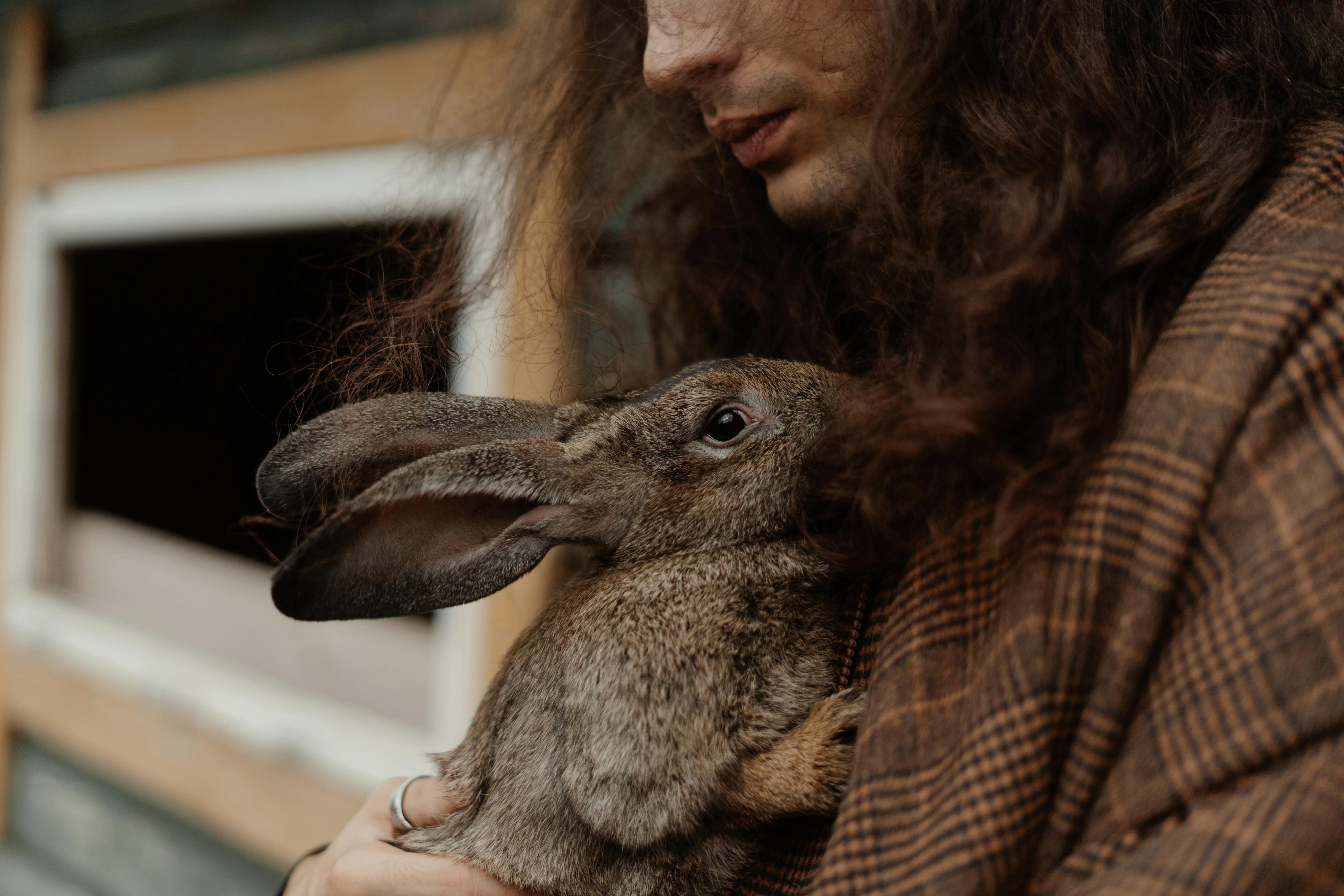 a person in brown checkered coat holding a brown rabbit