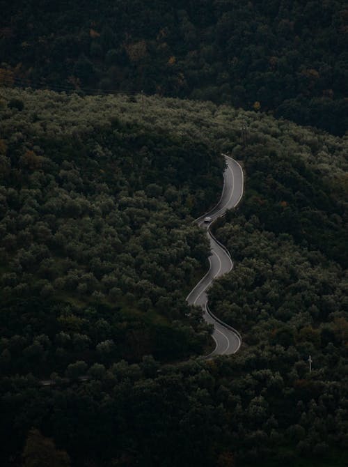 High Angle View of Car Driving Down Winding Road Crossing Forests