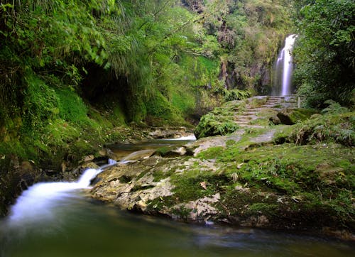 Free stock photo of moss, waterfall