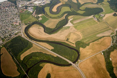 Aerial View of Green and Brown Field