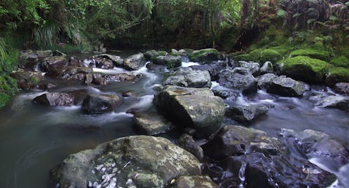 Free stock photo of brook, moss, rapids