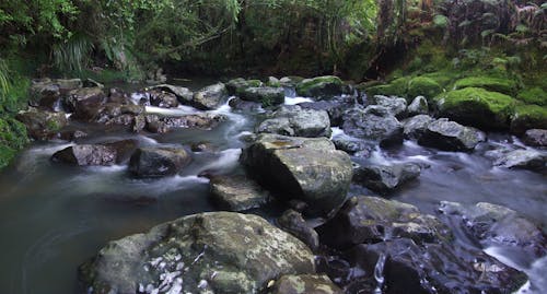 Fotos de stock gratuitas de musgo, rápidos, riachuelo