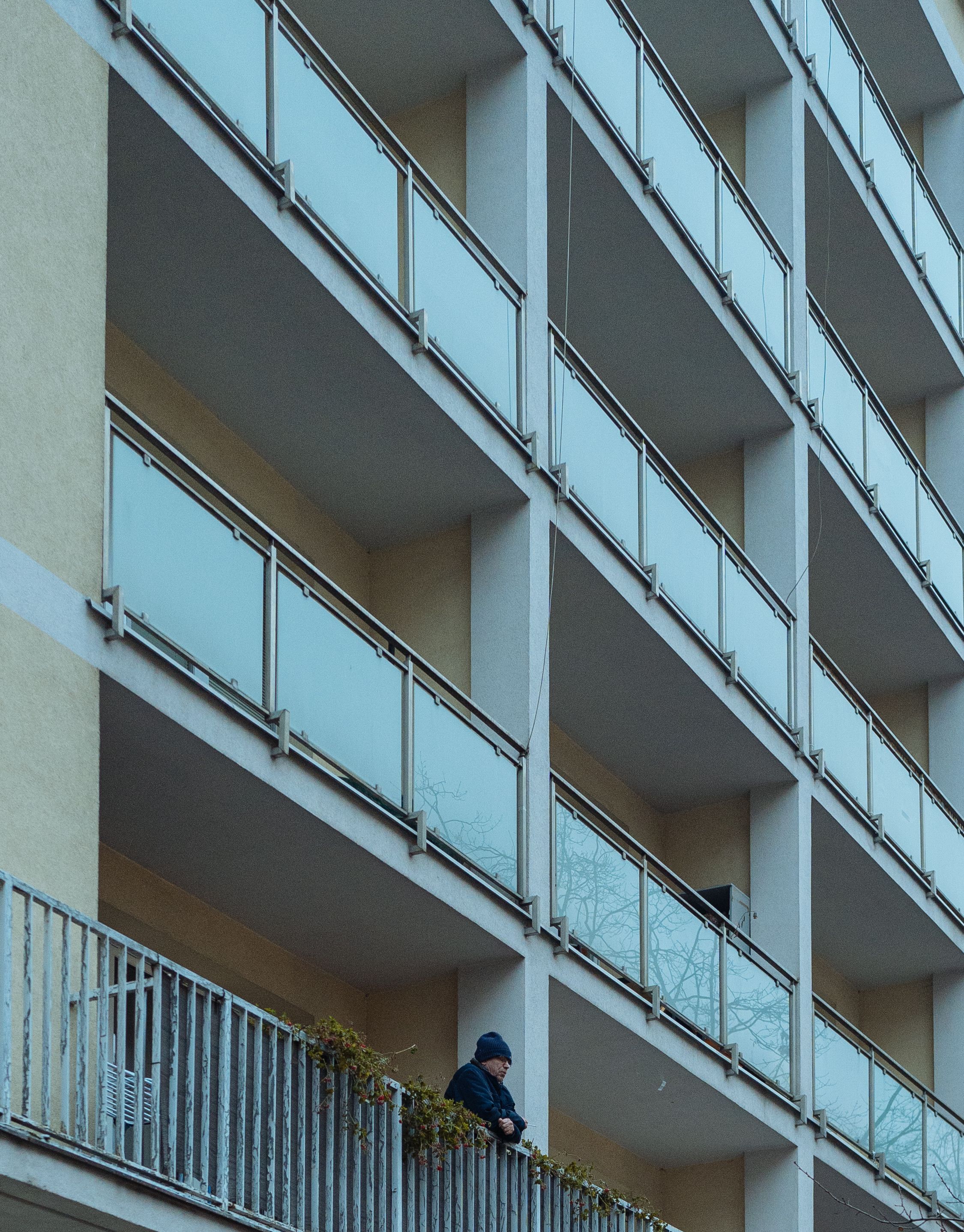 A Man Leaning on the Railing · Free Stock Photo