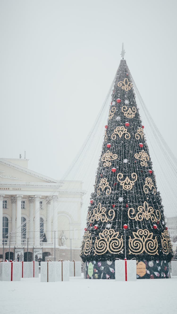 Christmas Tree With String Lights Near White Building