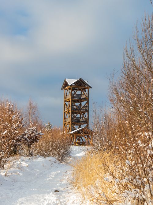 Free Snow-covered landscape with a wooden watchtower amidst leafless trees on a sunny winter day. Stock Photo