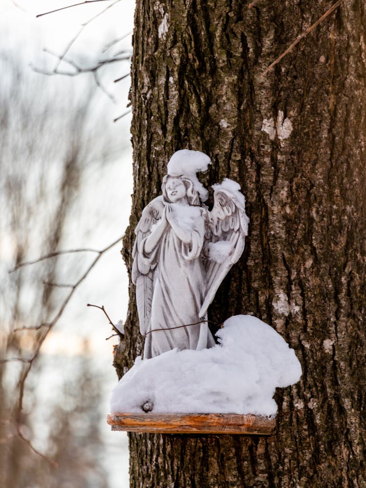 An Angel Statuette On A Tree Trunk