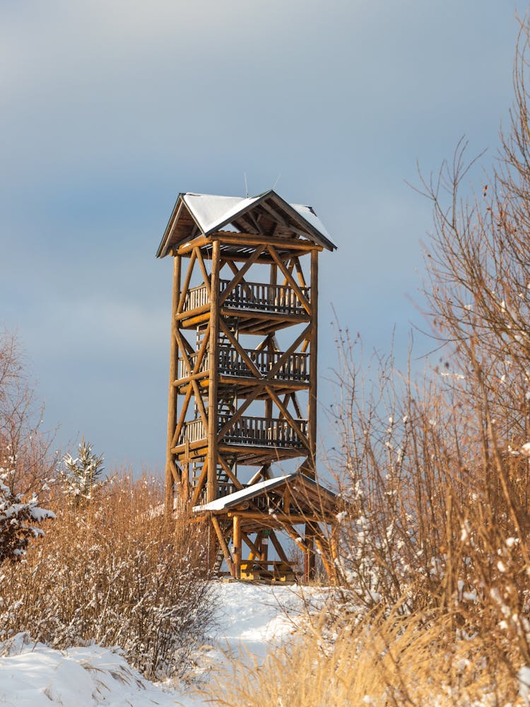 A Tall Wooden Watch Tower