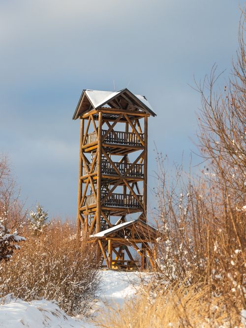 Free A wooden watchtower stands in a snowy winter landscape, surrounded by bare trees and bushes. Stock Photo