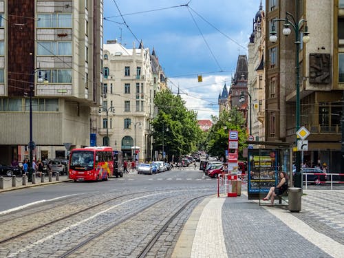 Vehicles and Pedestrians on the Road