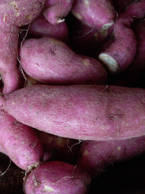 Close-Up Shot of Sweet Potatoes 