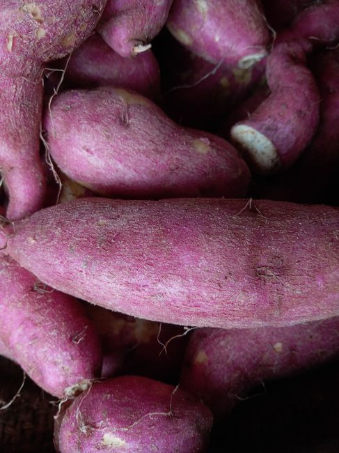 Close-up of uncooked sweet potatoes showcasing their natural texture and color.