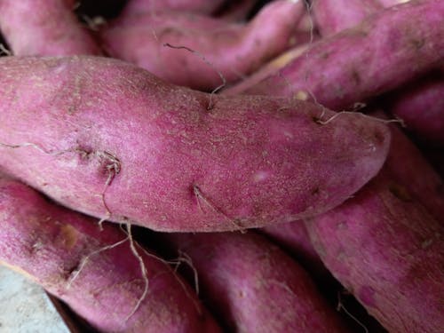 Free Root Vegetables in Close Up Photography Stock Photo