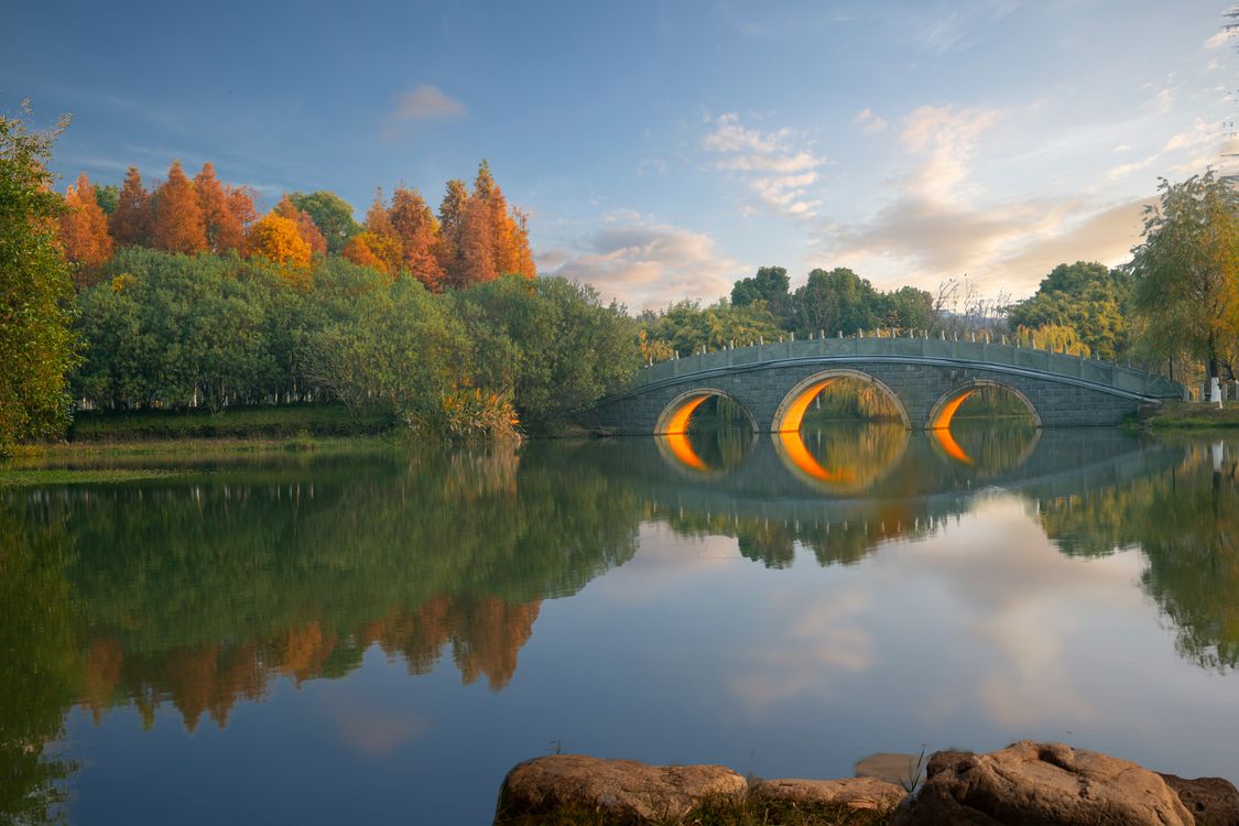 Pond in Park in Autumn · Free Stock Photo