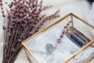 Still Life Shot of Glass Box and Plants